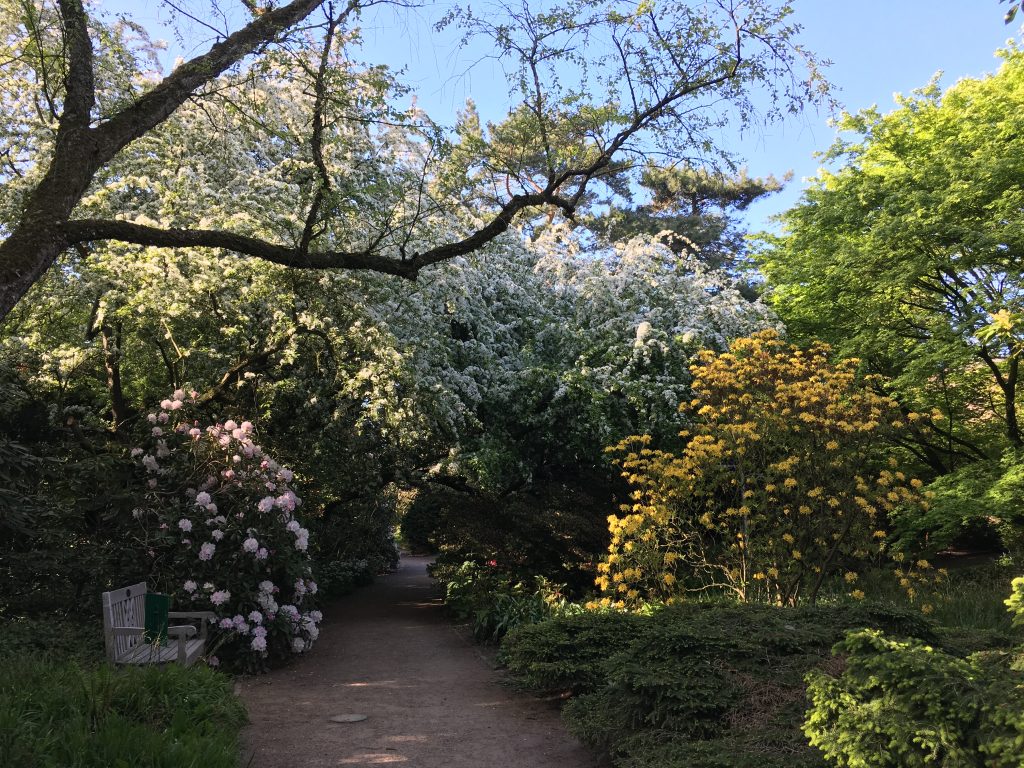 Arboretum Ellerhoop